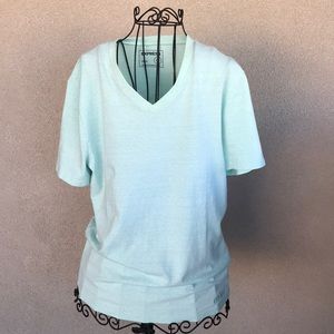 Express stretch V neck